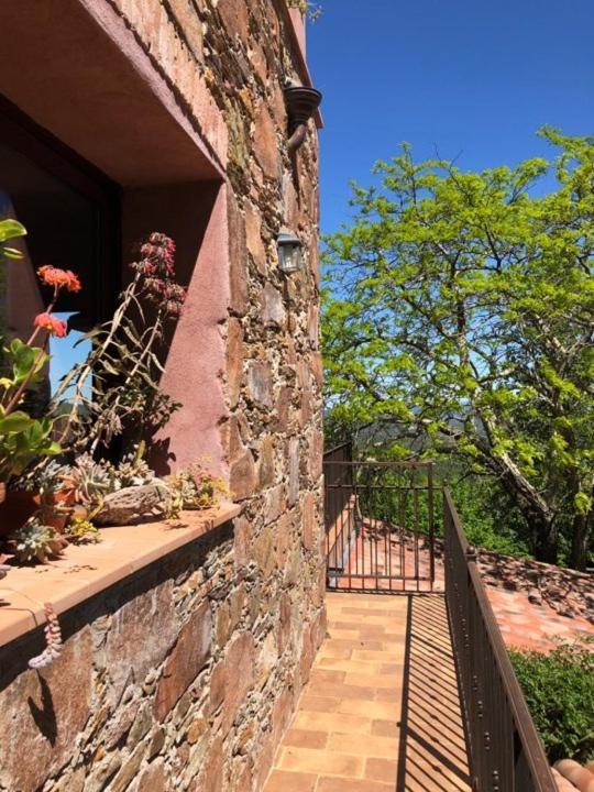 Bed And Breakfast La Maison De Nathalie Les Mayons Ngoại thất bức ảnh